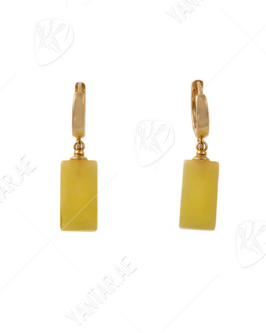 Earrings SSA1725-001