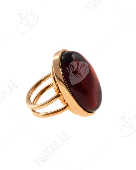 Ring PS909-002