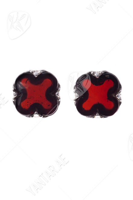 Earrings SS1508-001