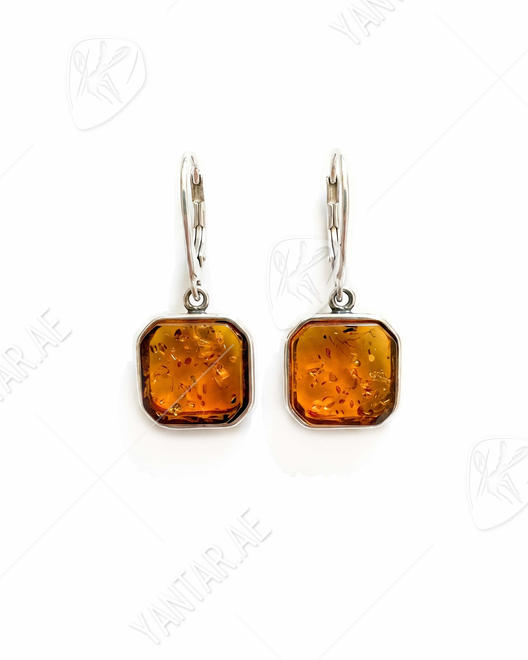 Earrings SS1779-001