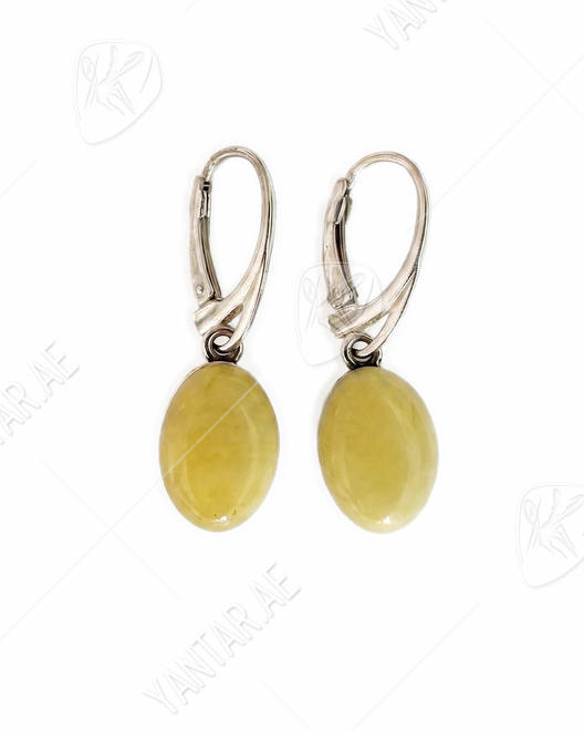 Earrings SS1781-001