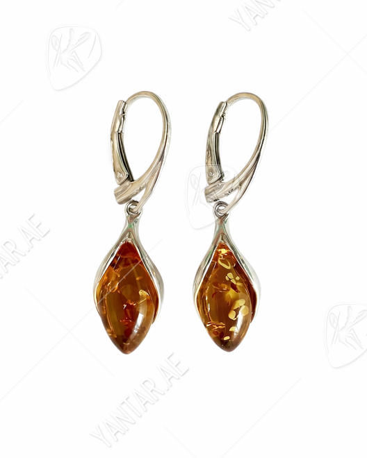Earrings SS1782-003