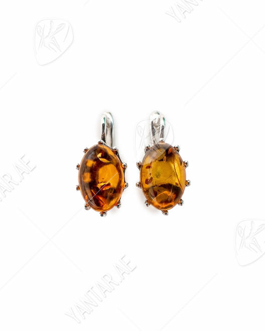 Earrings SS1776-001