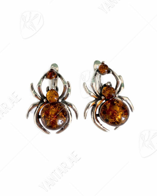 Earrings SS1778-001