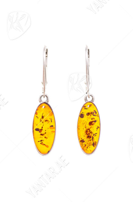 Earrings SS1188-001