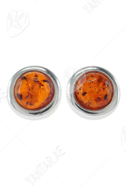 Earrings SS368-001