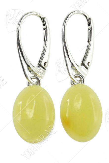 Earrings SS980-001