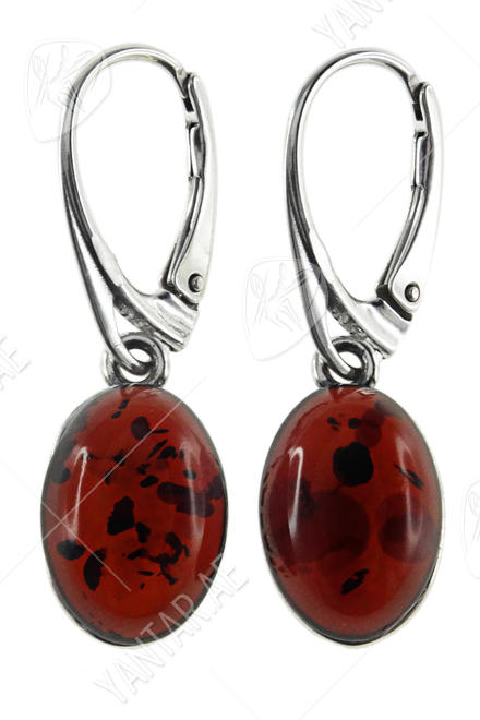 Earrings SS977-001