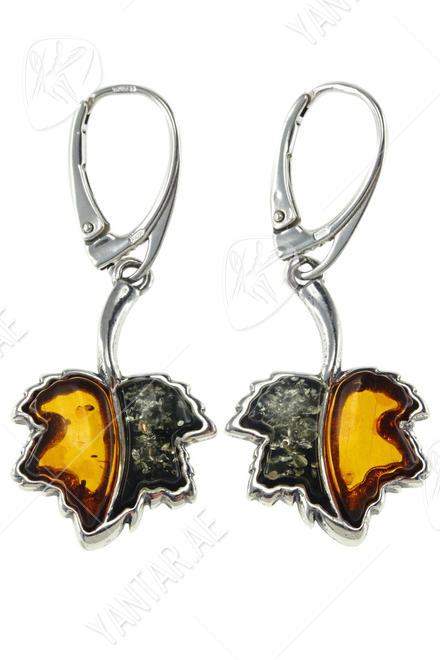 Earrings SS840-001