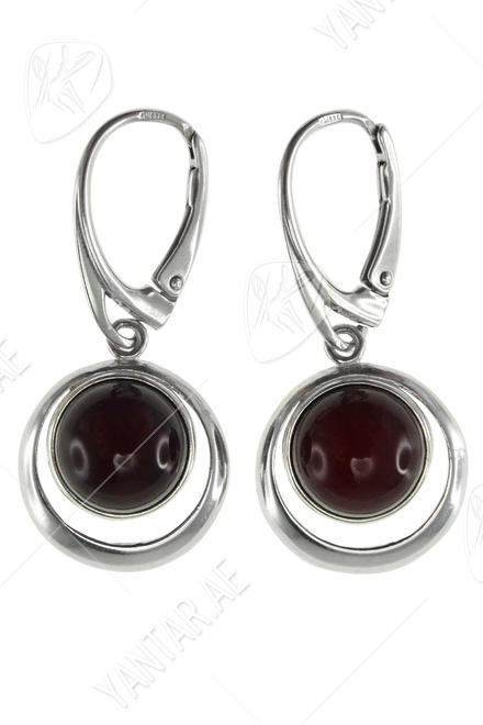 Earrings SS846-001