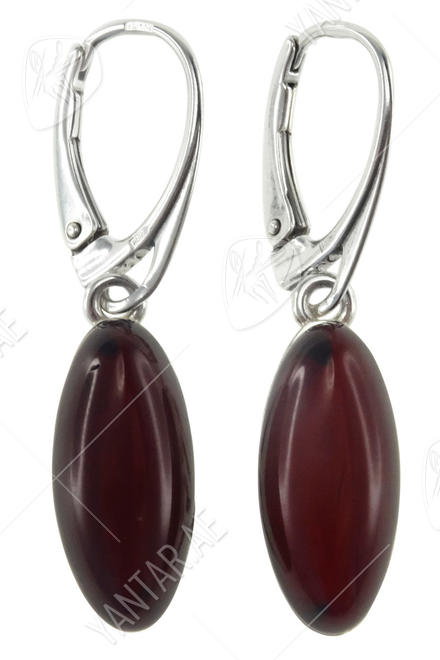 Earrings SS828-001
