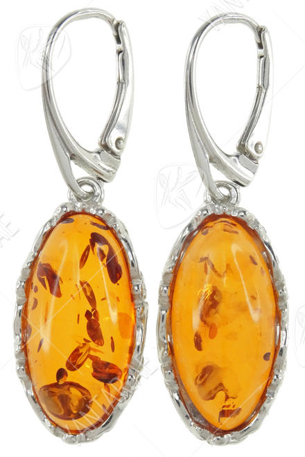 Earrings SS654-001