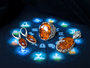 Earrings SS654-001