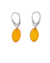 Earrings SSA1729-001