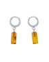 Earrings SSA1737-001