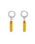 Earrings SSA1727-001