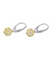 Earrings SSA1724-001