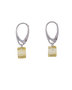 Earrings SSA1724-001