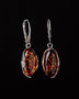 Earrings SS1752-001