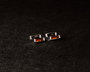 Earrings SS1751-001