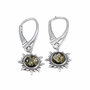 Earrings SS1759-001