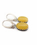 Earrings SS1783-001