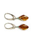 Earrings SS1782-003