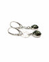 Earrings SS1787-001