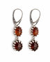 Earrings SS1788-001