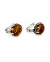 Earrings SS1776-001