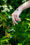 Bracelet BRS384-001