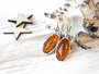 Earrings SS654-001