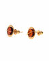 Earrings SRND№1S-001