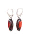 Earrings SS1191-001