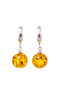 Earrings SS1201-001