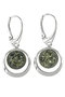 Earrings SS725-001