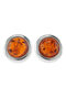 Earrings SS368-001