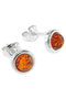 Earrings SS368-001