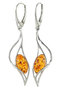 Earrings SS595-001