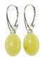 Earrings SS980-001