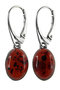 Earrings SS977-001
