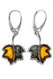 Earrings SS840-001
