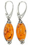 Earrings SS615-001
