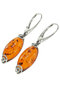 Earrings SS615-001