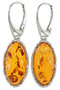 Earrings SS654-001
