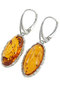 Earrings SS654-001
