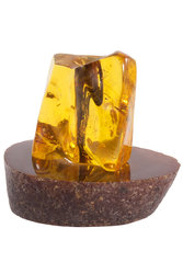 Amber souvenir with inclusion on a stand