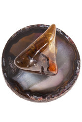 Souvenir “Amber stone on an agate stand”