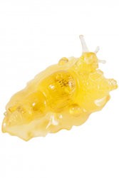 Amber souvenir “Snail”