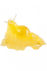 Amber souvenir “Snail”